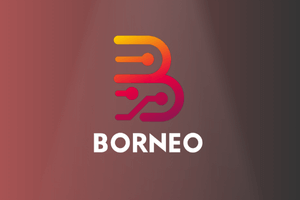 Borneo Schematic - 1 Year 1 User Activation
